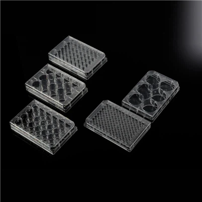 24-plošča za kulturo celic PS za laboratorij